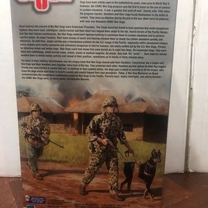 GiJoe Delta U.S. Marine Dog Unit